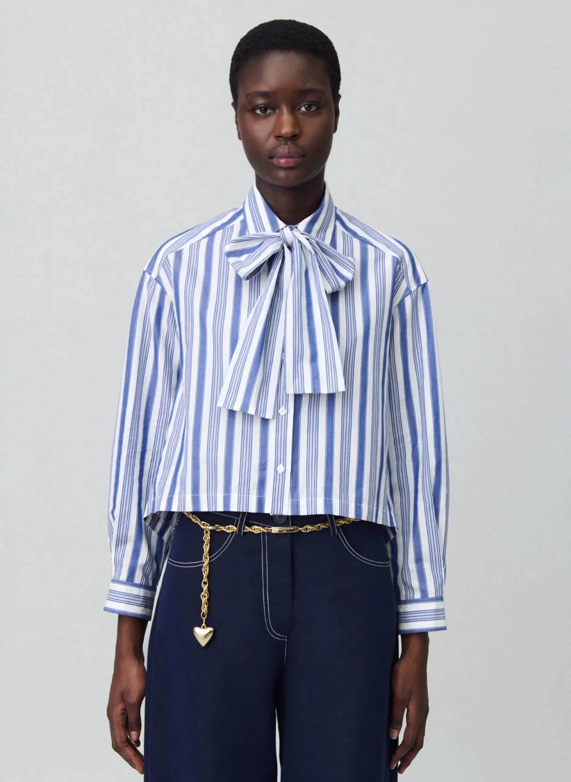 Image du produit précédent