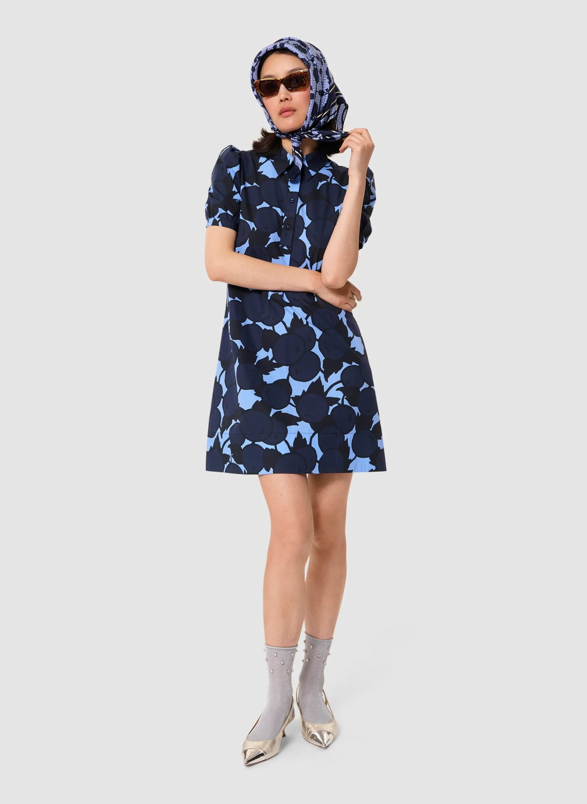 Image du produit précédent